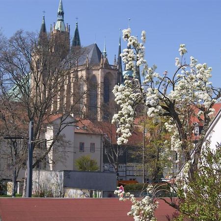 Hotelpension Am Dom Erfurt Kültér fotó