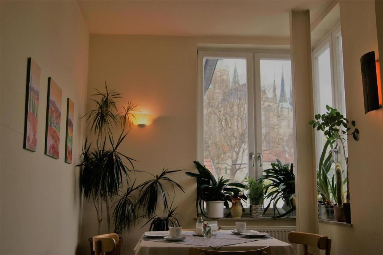 Hotelpension Am Dom Erfurt Kültér fotó