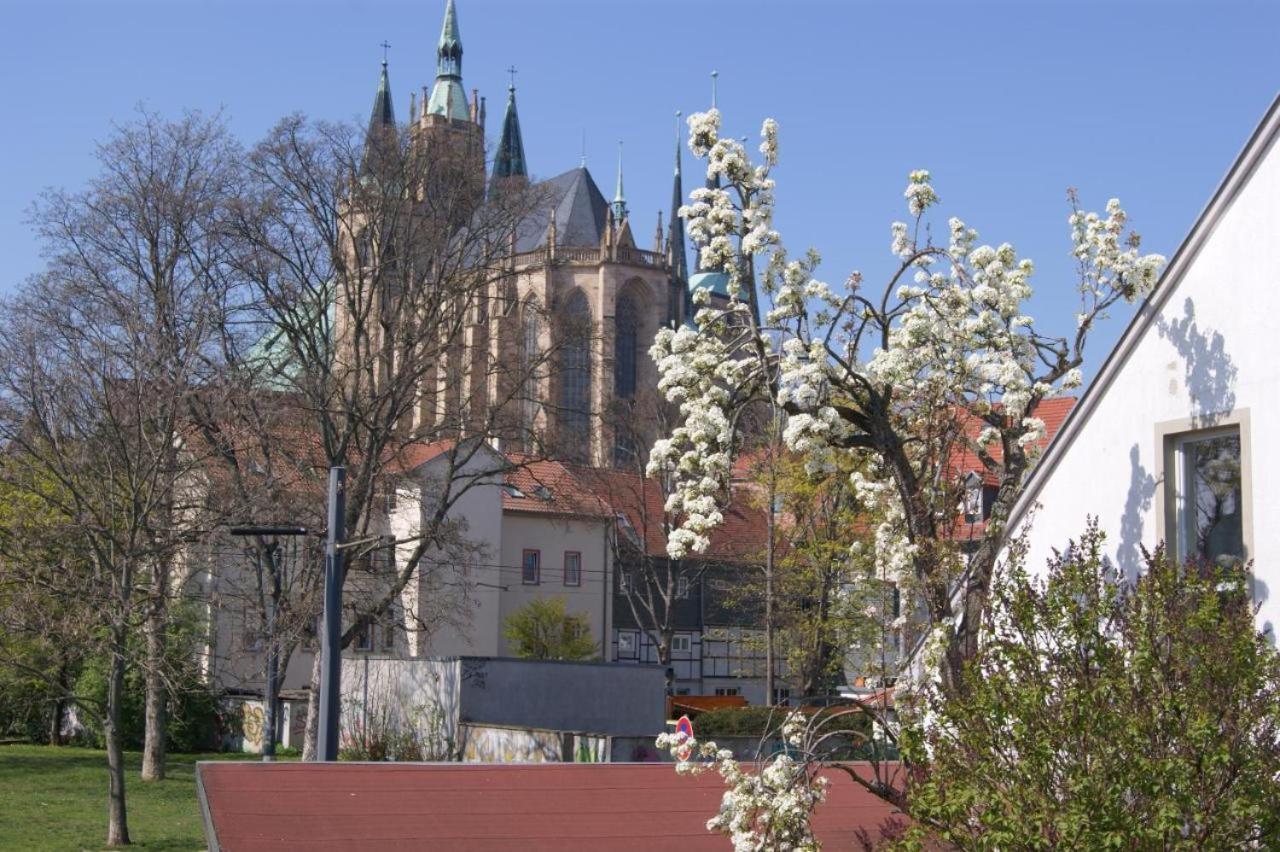 Hotelpension Am Dom Erfurt Kültér fotó